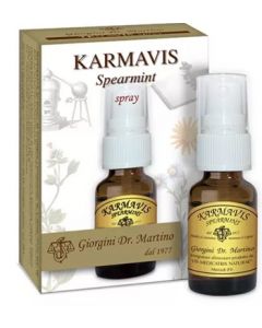 Dr.Giorgini Karmavis Spearmint Spray 15Ml