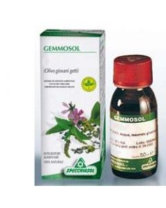 Specchiasol Gemmosol 3 Ippocastano 50 ml