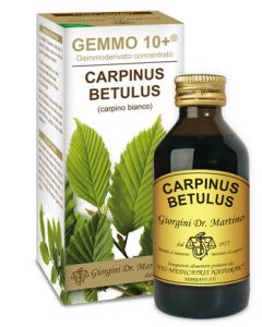 Dr. Giorgini Gemmo 10+ Carpinus Betulus Integratore 100 ml