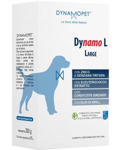 Dynamo l Large 20bust.10g